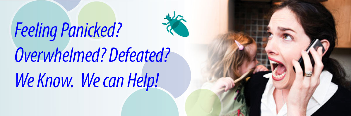 Lice Happens Quick and Easy Lice Removal