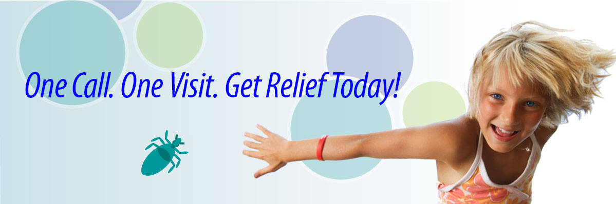 lice removal service nova