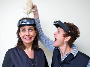 lice treatment specialist in northern virginia